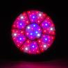 Buy cheap Hydroponic Grow Lights Complete hydroponic system hydroponic grow lights. from wholesalers