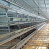 Buy cheap HDG Automatic Broiler Feeding System from wholesalers