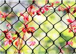 Ferrule Wire Rope Plant Trellis 25x25mm 1.2mm Garden Wire For Climbing Plants
