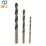 Bright Finishing Full Ground HSS M2 Twist Drill Bit for Metal Drilling DIN338