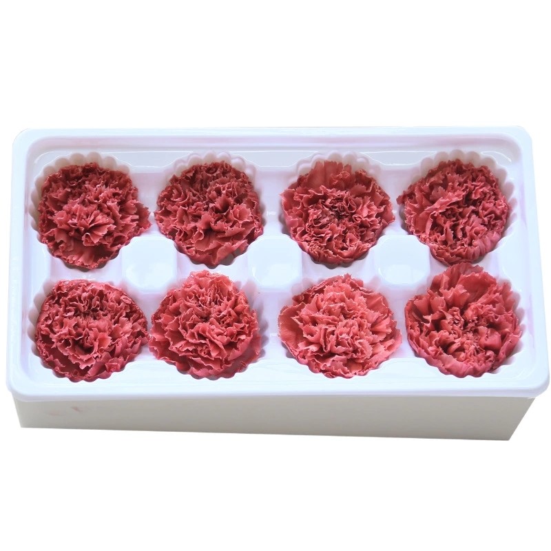 Factory Price Preserved Flowers Real Preserved Carnation For Mother