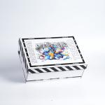 Wholesale Spot Goods Printing Paperboard Shoe Packaging Box With Glossy/Matt
