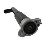 W212 Shock Absorber 2123201530 2123201630 For Mercedes Rear Air Strut Repair
