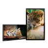 Buy cheap 43 Inch Wall Mounted Digital Display Capacitive Touch Screen For Phone Shop from wholesalers
