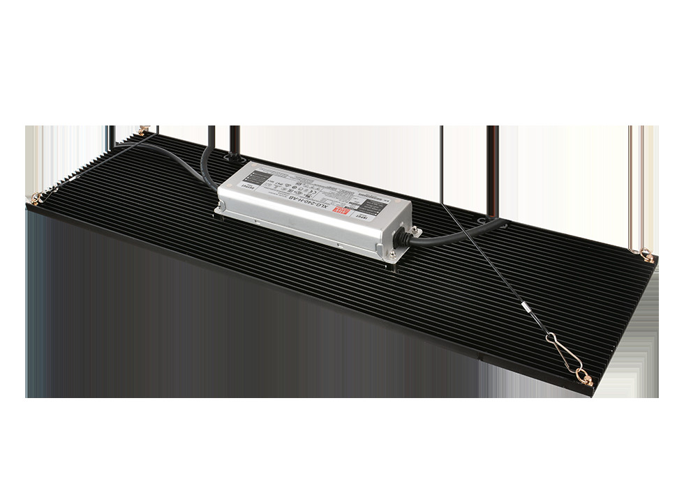 Separate Hanger 240W 3500K Indoor Horticulture Lighting