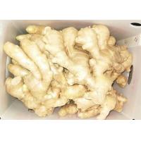 Buy cheap SGS 150g Natural Air Dried Ginger product