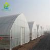 Buy cheap Agricultural Hydroponic Single Span Greenhouse For Mushroom Cultivation from wholesalers