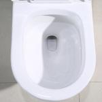 White Bathrooms Toilets Single Flush Elongated Skirted One Piece Toilet Bowl