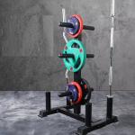 Befreeman Hot Sale Gym Fitness Equipment Weight Plate Rack