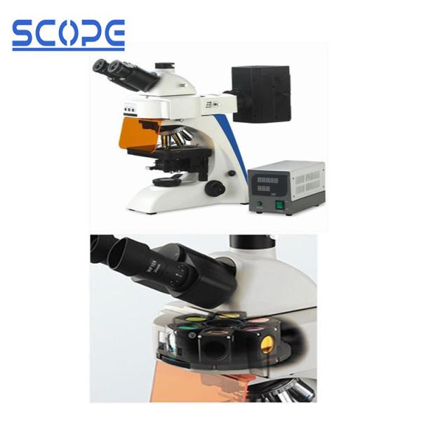 Infinity Optical Trinocular Biological Microscope , Trinocular Compound