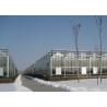 Buy cheap PC Sheet Covered Multi Span Greenhouse Venlo Type Strong Light Transmission from wholesalers