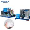 Buy cheap Chile Industrial Ice Flake Machine with 1.5mm-2.2mm Ice Size and R404A Refrigerant from wholesalers