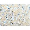 Buy cheap Wall Decoration Granite Stone Paint , Nature Sand Marble Look Paint from wholesalers