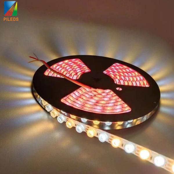 Buy cheap 3000K 6000K LED Wall Washer Lights Outdoor With CRI 80 30 Degree Beam Angle from wholesalers