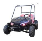 Buy cheap NEW ARRIVEL PHYES 60V 1200W ELECTRIC KIDS Go Cart Buggy for Hot Sale from wholesalers