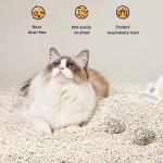Deodorizing Tofu Bentonite Mixed Cat Litter Custom Logo Fast Absorption