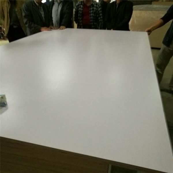 Buy cheap E0 E2 Glue Poplar Core Melamine Faced Birch Plywood For Furniture from wholesalers