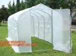 Easy install greenhouse tomato single-span Plastic Film Green House,Low cost