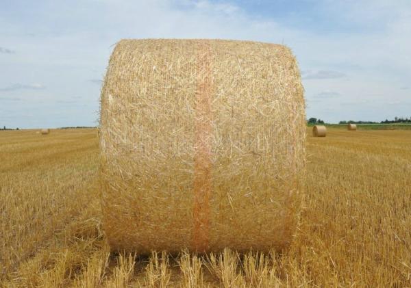 Buy cheap White Hdpe Bale Net Wrap With UV Protection , 6gsm - 12gsm Weight from wholesalers