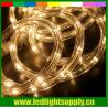 Buy cheap led rope warm white 1/2'' 2 wire duralights from wholesalers