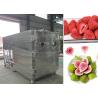 Buy cheap Electric Heating Food Vegetable Freeze Dryer Machine 100Kg 200Kg from wholesalers