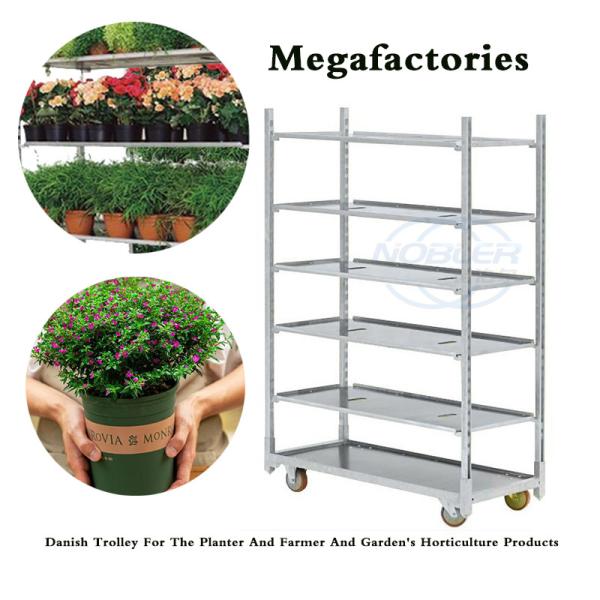 Convenient Indoor Danish Cart With 10cm Wheel Diameter L*W*H 135*56.5*190cm