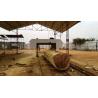 Buy cheap Big horizontal diesel bandsaw sawmill/Horizontal cutting Heavy Duty Band Saw Mill from wholesalers