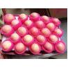 Buy cheap Round Farm Fresh Apples from wholesalers