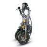 Buy cheap Adult Electric Tricycle Bike , 3 Wheel Electric Trike 350W 8AH Lithium Battery from wholesalers