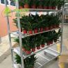 Buy cheap Metal Plate Dutch Flower Trolley Customized For Display from wholesalers