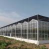 Buy cheap Sunlight Greenhouse Multispan Hydroponics Plastic Film Greenhouse for Commercial Farm from wholesalers