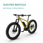 Durable WD36 E Bike Battery / Ebike Lithium Battery for Diverse Conditions