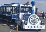 72 Seat Electric Trackless Train Kids Party Train Hand Painted Technics