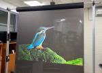 transparent holographic rear projection film Adhesive For Window Advertising