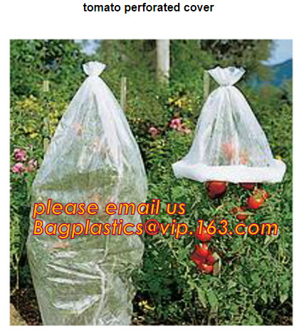 Panda Film for Blackout Greenhouse/Black-White Poly is UV-Stabilized Plastic Mushroom,0.1mm 0.12mm 0.15mm 0.18mm 0.2mm 0