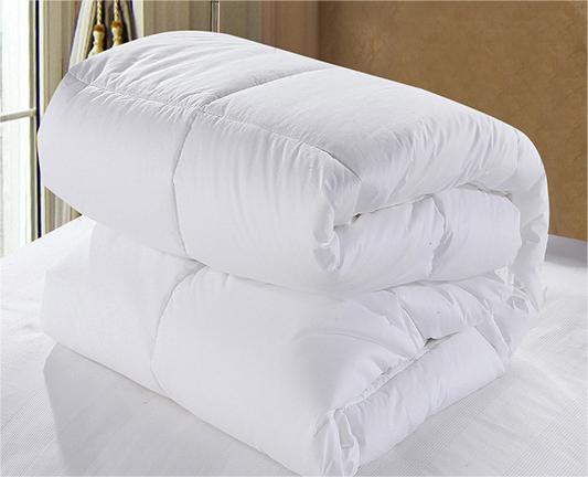 Large Quilt Core for Hotel Bedding Spring and Autumn Grade A Organic Cotton Down