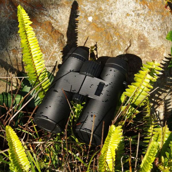 Buy cheap Waterproof Fogproof Hunting Telescope 10X42 High Power Military Binoculars from wholesalers