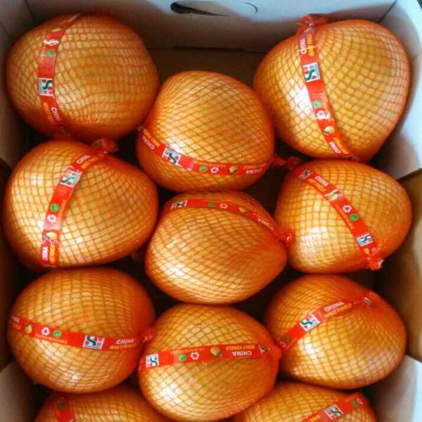 Buy cheap Chinese Golden Supplier Delicious Fresh Honey Pomelo / Grapefruit With Global GAP Certified from wholesalers