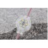 Buy cheap DC12V 0.6W LED Pixel Point Light Waterproof IP67 SMD2835 30mm 6500K PC Anti - UV from wholesalers