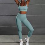 New Arrival Seamless 2 Pieces Yoga Set For Women Ruched Butt Leggings And Sports