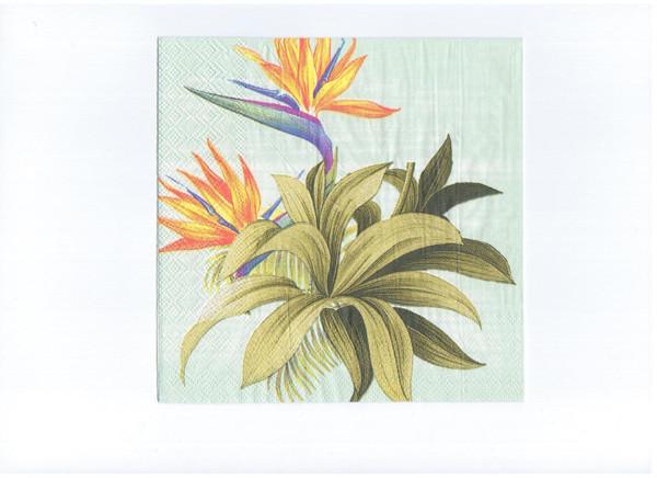 Buy cheap FDA 2-3ply 25x25cm Printed Paper Napkins For Summer Party from wholesalers