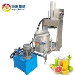 200L Automatic Hydraulic Power Press for Industrial Juicing of Fruits and