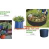 Buy cheap Hanging Planter Horizontal Garden Grow Bag Vertical Garden Felt Bag from wholesalers
