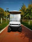 830kg Capacity 6 Seater MacPherson Independent Suspension Golf Cart With Rack