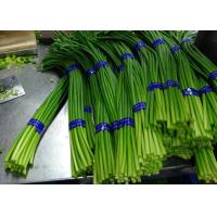 Buy cheap New Crop Chinese Fresh Garlic Bolt product