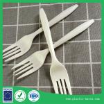 Biodegradable Picnic Disposable Fork