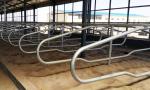 Anti Corrosion Free Stall Barn