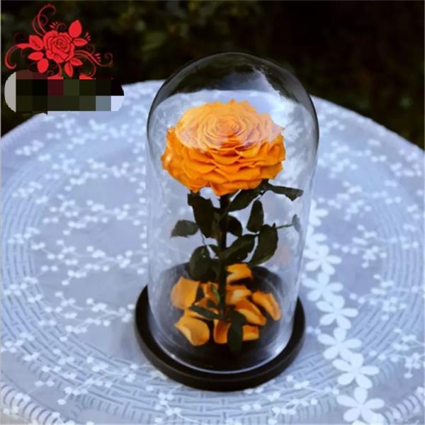 Buy cheap Natural Fresh flower rose Preserved rose in glass terrariums with base for luxury gifts from wholesalers