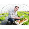 Buy cheap Smart Control Plastic Film Greenhouse , Flower / Vegetable Agricultural Greenhouse from wholesalers