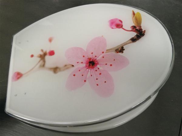Buy cheap decoration toilet seat,color,polyresin,plastic,solid white,sanitary toilet seat cover from wholesalers